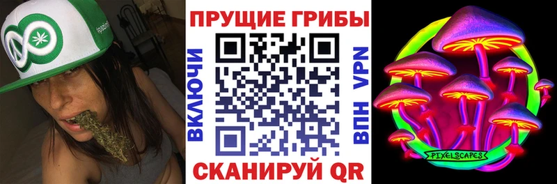 darknet состав  kraken tor  Галлюциногенные грибы MAGIC MUSHROOMS  Уварово  продажа наркотиков 